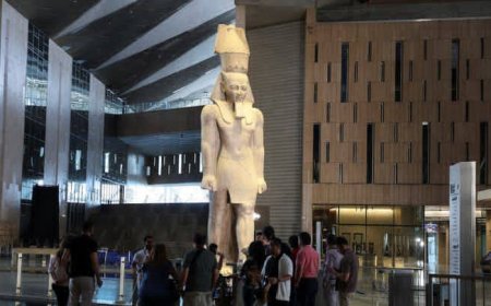 الرئيس السيسي يشهد اليوم افتتاح المتحف المصري الكبير بمشاركة 79 وفداً رسميا