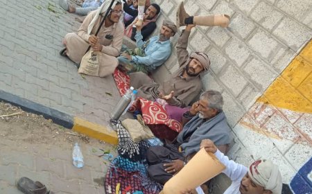 جرحى الجيش اليمني في مأرب ينددون بالإهمال الحكومي.