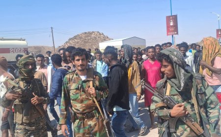 الأجهزة الأمنية والعسكرية في شبوة تجمع المهاجرين الأفارقة في مركز المحافظة لإخراجهم من المدينة