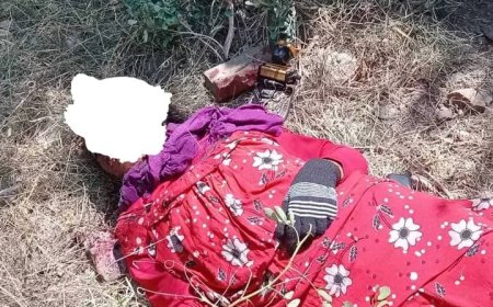 القيادي في انتقالي المحافظة الاخ حسان الفتاحي الجريمة البشعه التي هزة المنطقة الحدودية حبيل حنش بمقتل الإمرأة رقية لن تذهب هدر ولن تسقط بالتقادم وسوف يتم كشف الجناة