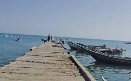 صرخة من شقرة.. أنقذوا جسر اللسان قبل فوات الأوان!