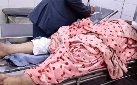 بيان صادر عن الهيئة العامة لتنظيم شؤون النقل البري بشأن حادث مروري بمحافظة ابين - منطقة العرقوب