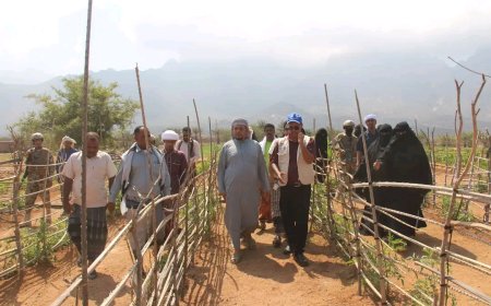 محافظ سقطرى يزور مزرعة جمعية معنوفة ويطّلع على مشروع استصلاحها المموله من مركز الملك سلمان وبرنامج الأغذية العالمي