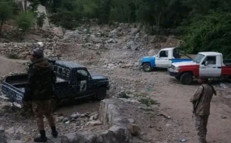 الحملة الأمنية تضبط مطلوبا أمنيا في قضية قتل بمديرية المسراخ