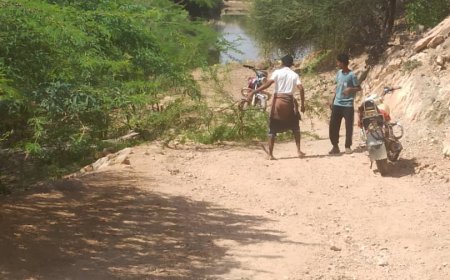 شباب الكورة يزيلوا أشجار السيسبان من الطريق المؤدي الى احد السدود المائية