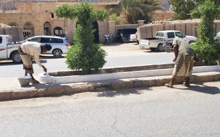 وحدة النظافة و التحسين بمديرية القطن تقوم بأصلاحات بأحواض الأشجار و الأرصفة وتنظيف الشوارع العامة