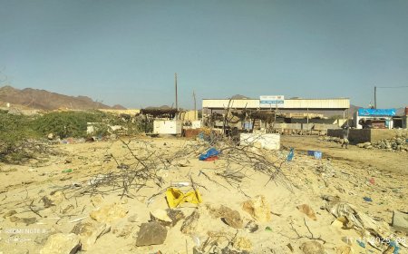 أهالي حصيحصة يناشدون الجهات المختصة لغياب الخدمات الأساسية ومكافحة تكاثر الكلاب