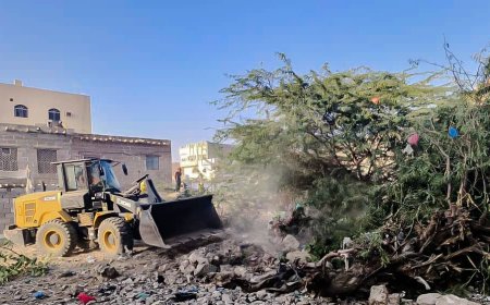 مدينة بروم تشهد تنفيذ حملة ازالة لأشجار السيسبان ومخلفات البناء