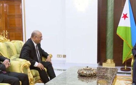 الرئيس الجيبوتي يستقبل وزير التخطيط والتعاون الدولي ويؤكد دعم التعاون الفني في قطاع الاتصالات مع اليمن