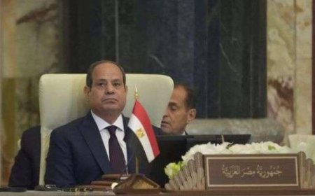 الرئيس السيسي يؤكد دعم مصر لوحدة السودان