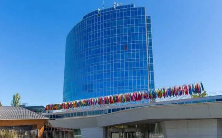 الصين تتصدر الطلبات العالمية للملكية الفكرية في 2024 متقدمة على الولايات المتحدة واليابان وكوريا الجنوبية وألمانيا