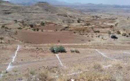 فرع هيئة الأراضي والمساحة بأبين يبدأ تثبيت أراضي المواطنين على أرض الواقع