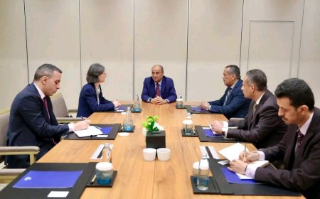 رئيس الوزراء يؤكد الحرص على توسيع آفاق التعاون مع فرنسا