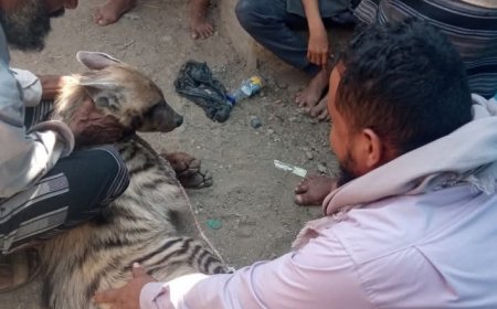 شجاعة باقس تثير الإعجاب المواطنين بلودر