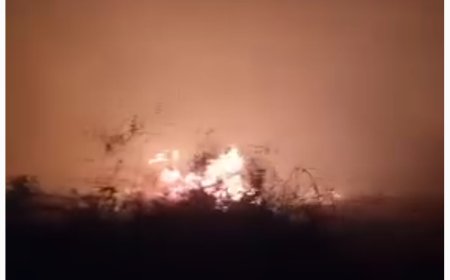 حرائق تلتهم مزارع الكود.. وأمن أبين يؤكد: الدفاع المدني يفتقر لأبسط التجهيزات (فيديو)