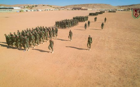 بعرض عسكري مهيب.. قوات دفاع شبوة تحتفل بتخريج اللواء الثامن