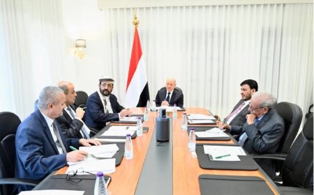 مجلس القيادة يستمع إلى تقرير رئيس الوزراء حول مستوى التقدم في الإصلاحات ويرحب بتقرير فريق الخبراء