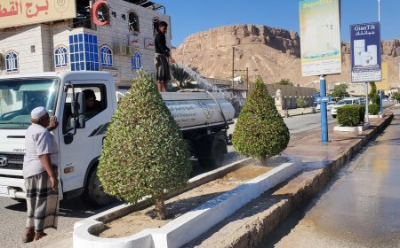 وحدة النظافة و التحسين بمديرية القطن تقوم بتقليم الأشجار و رشها و تنظيف الأرصفة بالماء