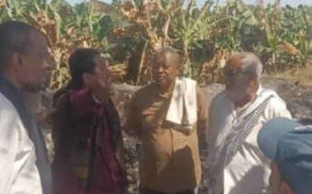 لجنة من السلطة المحلية ومكتب الزراعة تنفذ نزول ميداني لتفقد وحصر اضرار حريق مزارع (النش) بالكود بمديرية خنفر