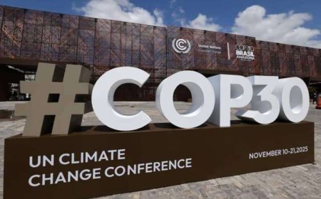 مصدر في وزارة المياه والبيئة يكشف حقيقة الأرقام المتداولة عن وفد اليمن إلى COP30