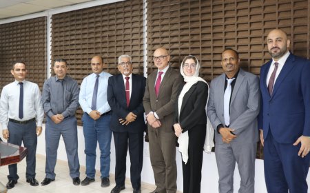 نائب محافظ البنك المركزي يلتقي فريق منظمة التعاون الاقتصادي والتنمية OECD