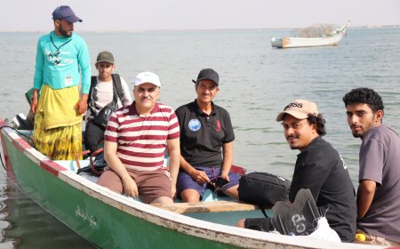 الهيئة الإقليمية (PERSGA) والهيئة العامة لحماية البيئة: دراسة الشعاب المرجانية في جزيرة العزيزي