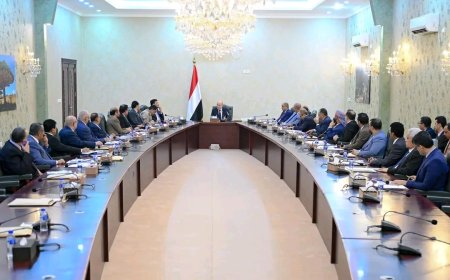 رئيس مجلس القيادة يرأس اجتماعا للحكومة