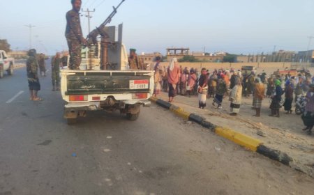 السلطة المحلية والحزام الأمني ينظمان حملة لنقل سوق الأغنام وتحسين الحركة المرورية