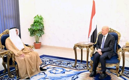 رئيس مجلس القيادة يشيد بالدعم الاماراتي لقطاع الكهرباء في اليمن