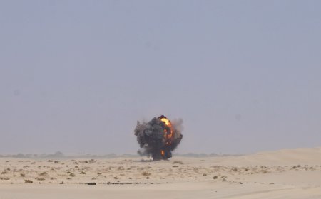 أبين.. "مشروع مسام" يتلف 7 آلاف لغم وقنبلة ومخلفات حربية بمديرية زنجبار