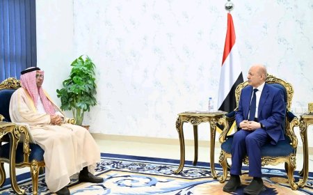 رئيس مجلس القيادة يستقبل سفير مجلس التعاون لدول الخليج العربية