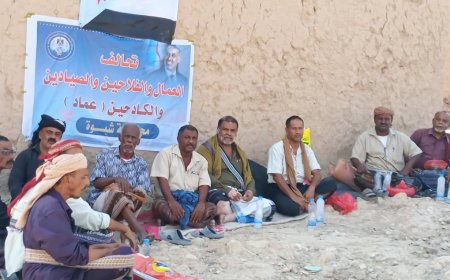 تحالف عماد بشبوة يؤكد حرصه على إنجاح مليونية 30 نوفمبر بسيئون