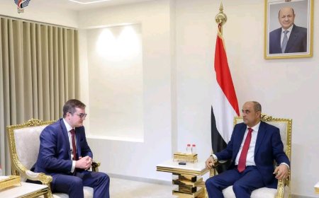 رئيس الوزراء يستقبل في عدن السفير الروسي الجديد لدى اليمن