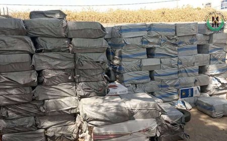 لحج.. الحزام الأمني يضبط مخازن لبيع وتوزيع مواد مهربة ومحظورة في عملية ميدانية نوعية