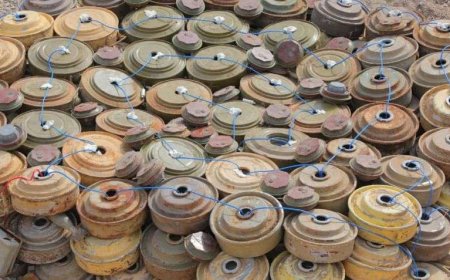 مسام ينزع 4726 لغماً وذخيرة في نوفمبر وتطهير أكثر من 74 مليون متر مربع