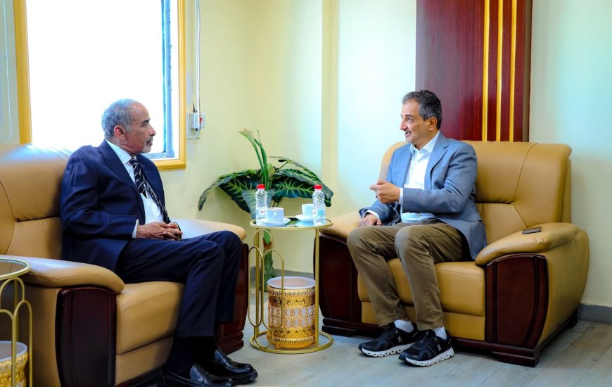 مستشار رئيس مجلس القيادة الرئاسي يناقش مع محافظ العاصمة عدن مستجدات الأوضاع