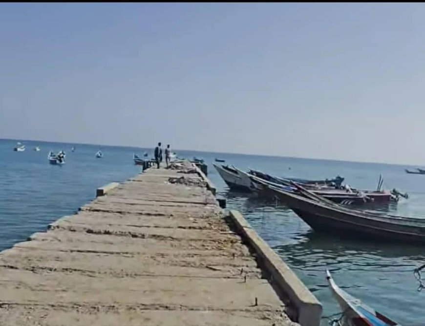 صرخة من شقرة.. أنقذوا جسر اللسان قبل فوات الأوان!