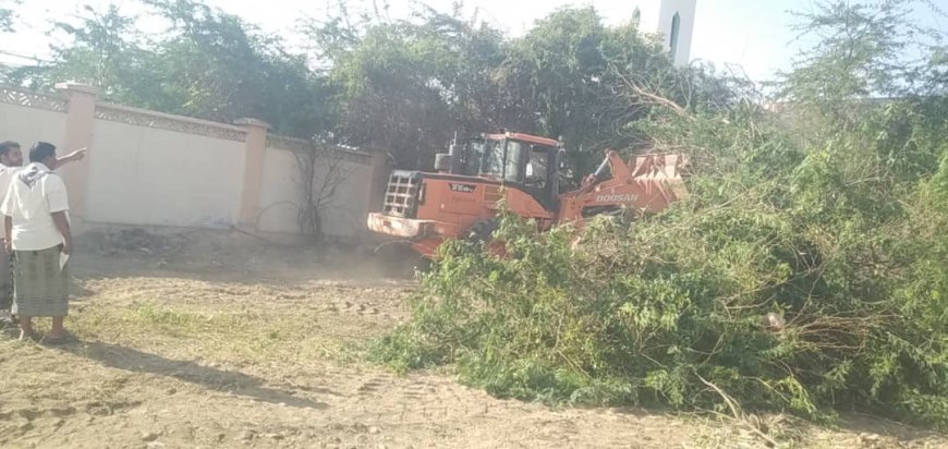 إدارتا ثانوية جواس وأبي سلمة تشكران السلطة المحلية بمودية على إزالة أشجار السيسبان من ساحات المدرستين