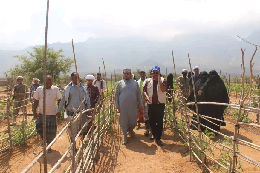 محافظ سقطرى يزور مزرعة جمعية معنوفة ويطّلع على مشروع استصلاحها المموله من مركز الملك سلمان وبرنامج الأغذية العالمي