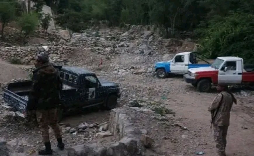 الحملة الأمنية تضبط مطلوبا أمنيا في قضية قتل بمديرية المسراخ