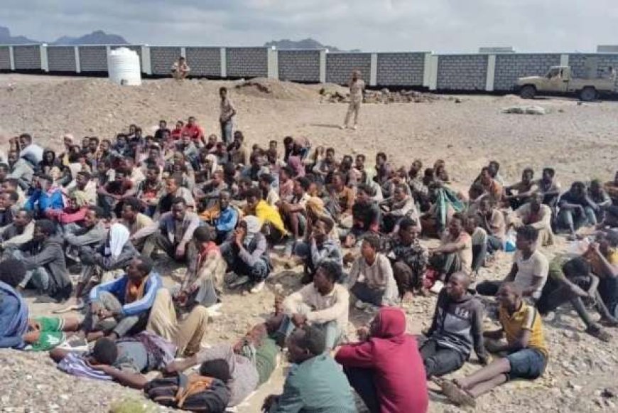 وصول 255 مهاجراً إفريقياً إلى سواحل رضوم وسط تشديد أمني في شبوة