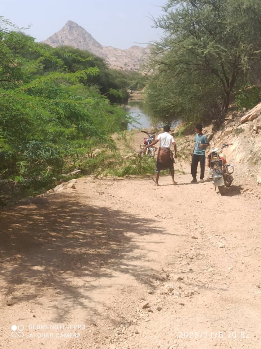 شباب الكورة يزيلوا أشجار السيسبان من الطريق المؤدي الى احد السدود المائية