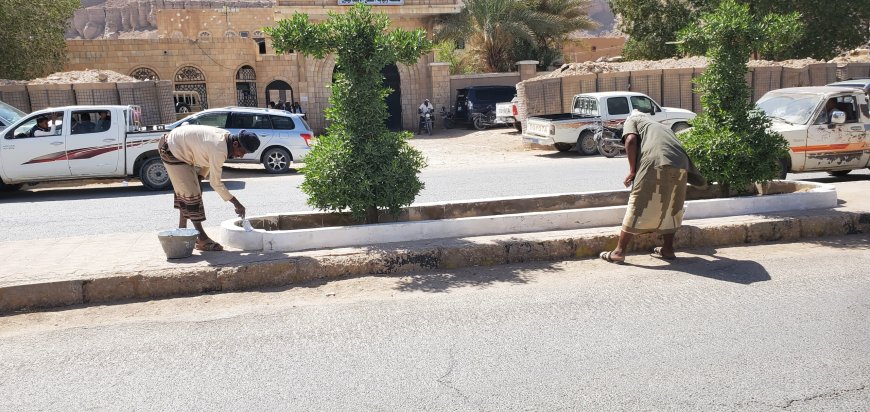 وحدة النظافة و التحسين بمديرية القطن تقوم بأصلاحات بأحواض الأشجار و الأرصفة وتنظيف الشوارع العامة