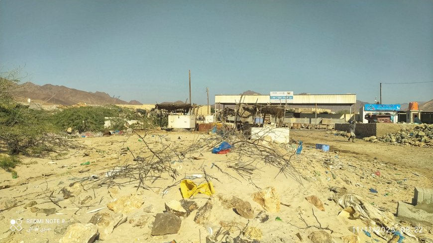 أهالي حصيحصة يناشدون الجهات المختصة لغياب الخدمات الأساسية ومكافحة تكاثر الكلاب