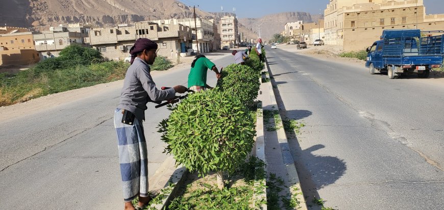 ضمن الاستعدادات لموسم زيادة الهدار لهذا العام.. وحدة النظافة و التحسين بمديرية القطن تقوم بتقليم الأشجار بالشوارع العامة للمديرية