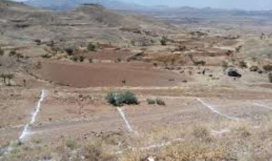 فرع هيئة الأراضي والمساحة بأبين يبدأ تثبيت أراضي المواطنين على أرض الواقع