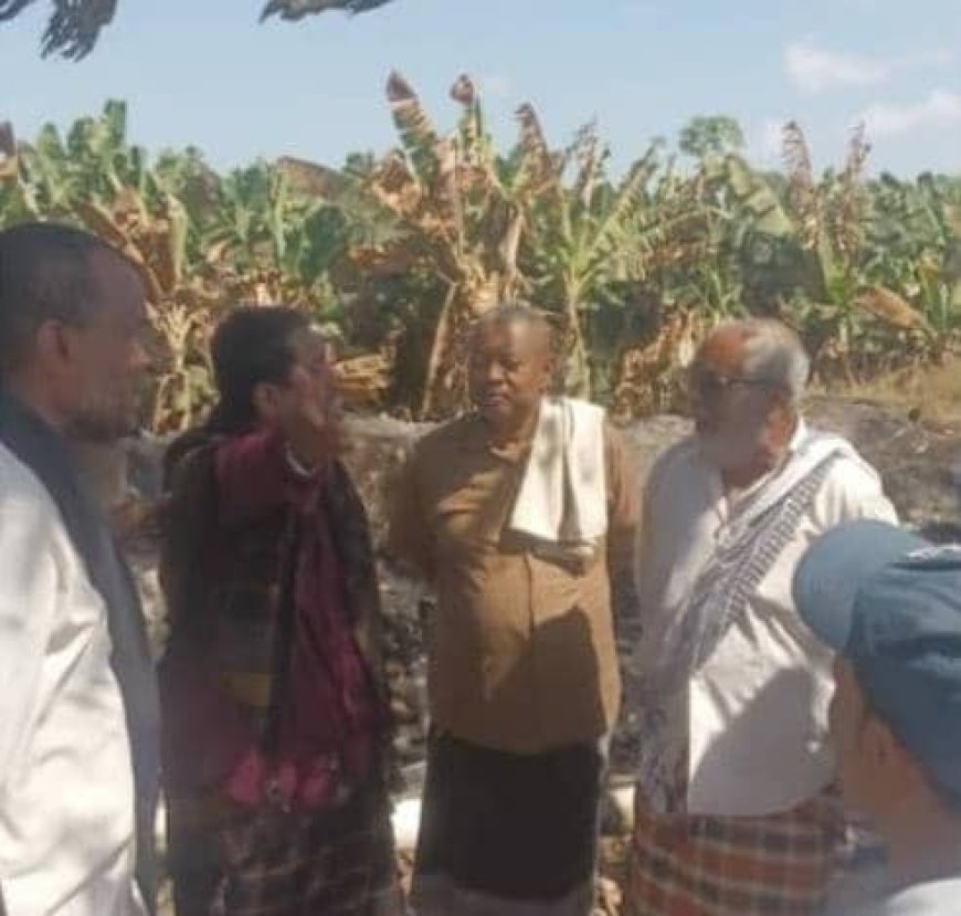 لجنة من السلطة المحلية ومكتب الزراعة تنفذ نزول ميداني لتفقد وحصر اضرار حريق مزارع (النش) بالكود بمديرية خنفر