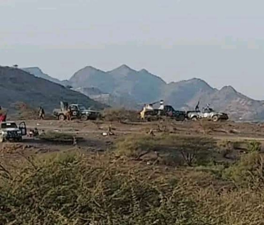 توتر مسلّح في الوازعية وقبليون يسقطون طائرة مسيّرة تابعة للمقاومة الوطنية