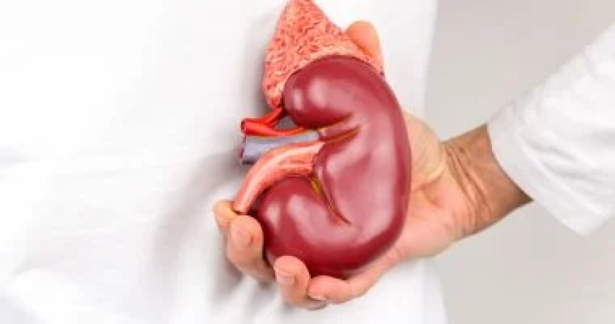 طرق بسيطة للوقاية من حصوات الكلى فى الشتاء