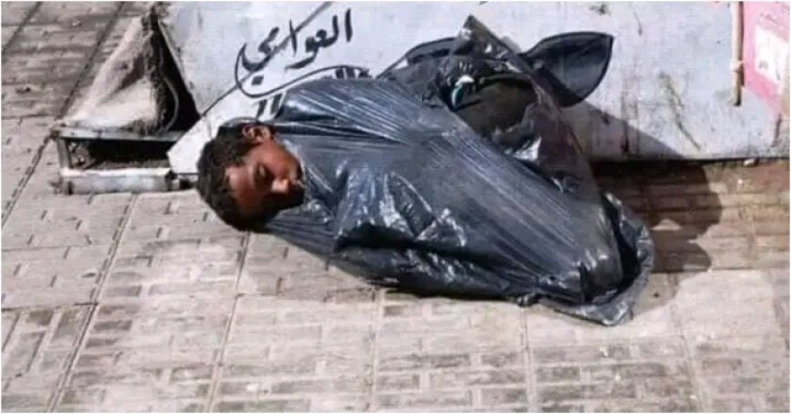 برد الشتاء يفضح قسوة القلوب. وصمت الضمير أقسى من الصقيع